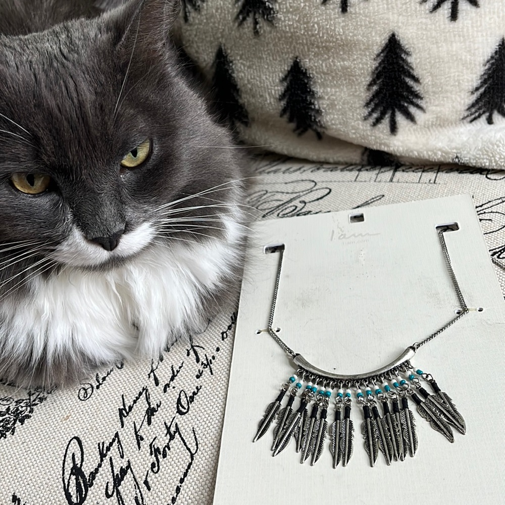 New, unused feather indian- style necklace